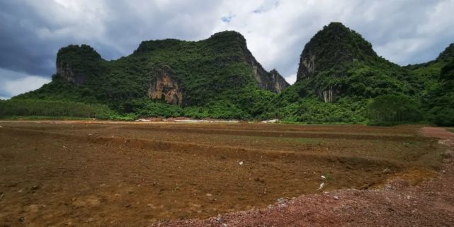 岜盆乡全力推进旱改水工程助力乡村振兴发展