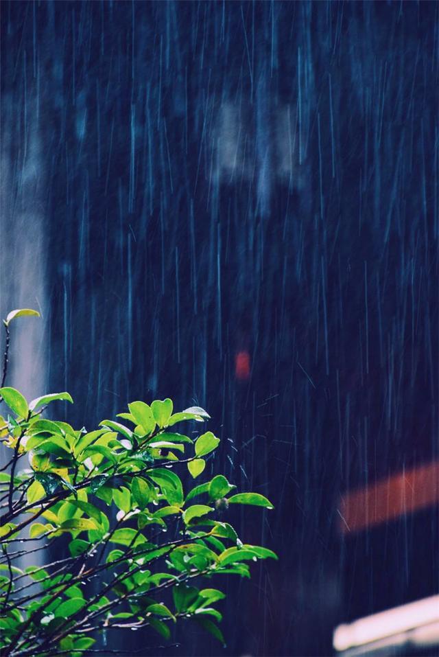 六月的雨一场雨把我困在诗词里