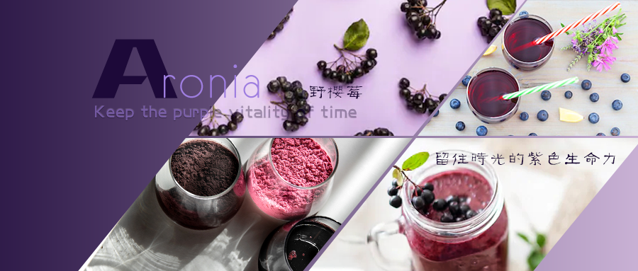 野樱莓不老莓的不老传说