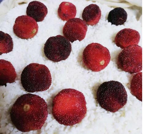 糯米杨梅酒-养颜又好喝的酒