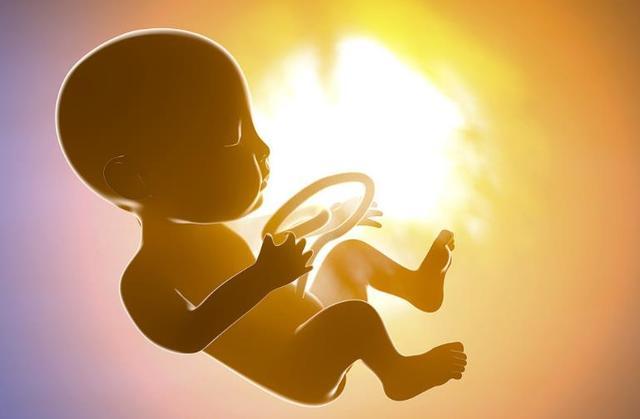 El Cordon Umbilical Que Rodea El Cuello Del Feto Tiene Un Gran Impacto En El Crecimiento Del Bebe Las Madres Embarazadas Deben Hacer Estas Cosas Menos Daynewses