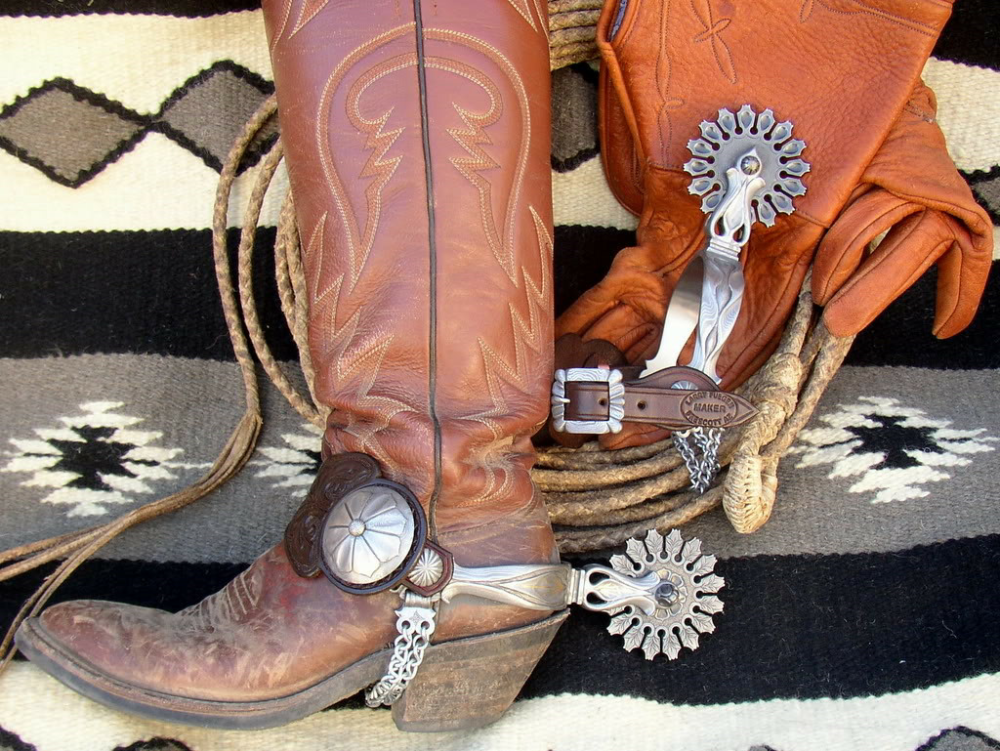 西部片中等鞋后方齿轮是什么?