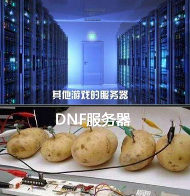 dnf玩家使用的服务器全都由育碧总公司的专业土豆种植园内精心培育