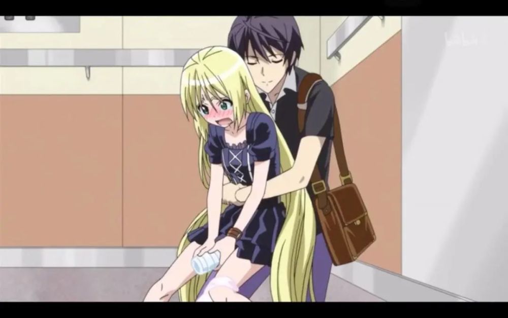 《弑神者》《樱花庄的宠物女孩》《刀剑神域》《游戏人生》《漫画家与