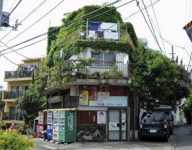 这些三字熟语 日本中学生必备 英语 日本 日语 叶书 美术馆 盖然 博物馆