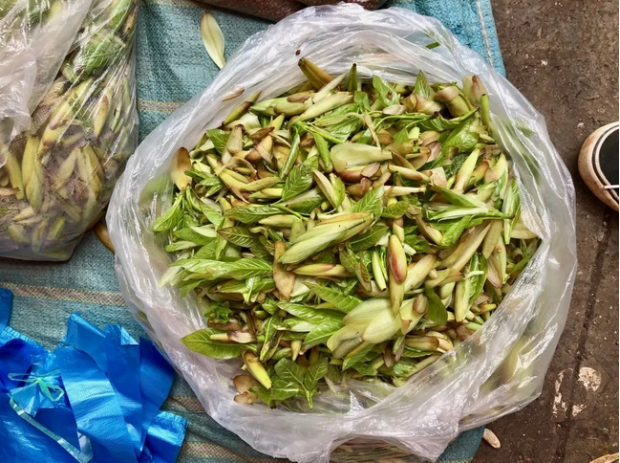 荒野维生野菜系列——酸尖菜