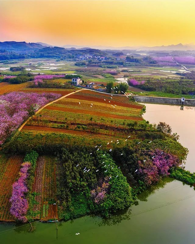 【北部生态新区成立3周年】快来看!