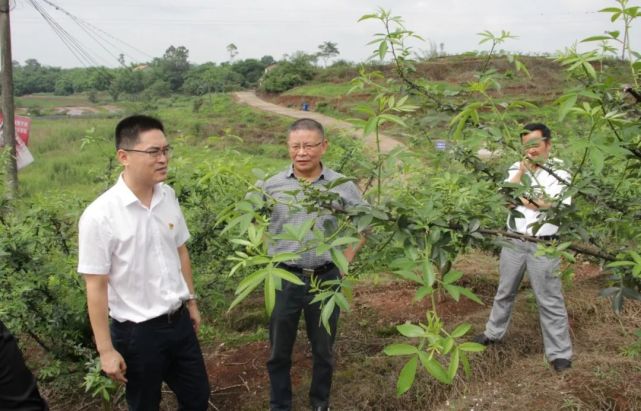 王洪辉同志一行走访慰问了对口帮扶贫困户罗桂书,详细了解其生产生活