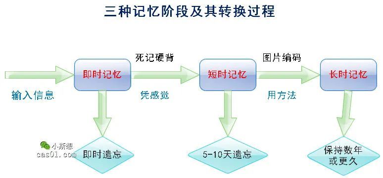 《超级记忆力训练法》,打造你自己的记忆宫殿