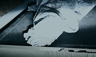 蛆虫,艾滋病……美女法医:一线现场比你想象的更吓人