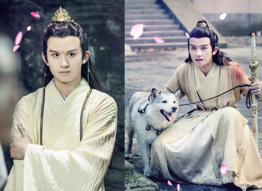 陈情令小苹果我主人呆萌仙子我主人傲娇兔子我主人