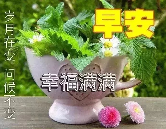 6月29日早安问候每日一祝 腾讯新闻