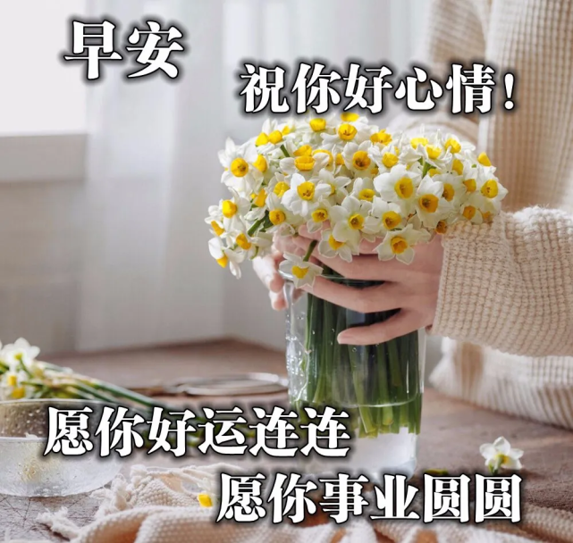 清晨最美早上好祝福短信息 早上好问候早安的句子图片群发