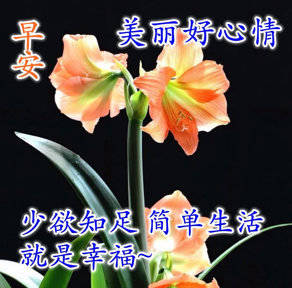 星期五早上好图片问候语微信早安祝福语唯美句子带图片