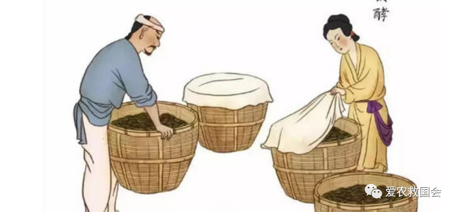 乌龙红茶工艺交流_腾讯新闻