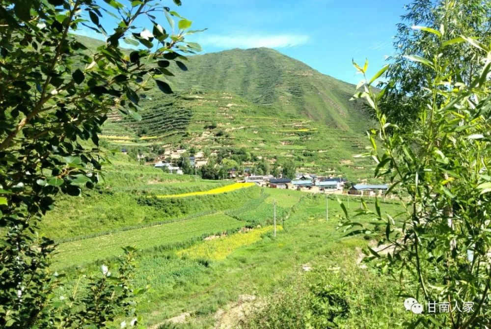 上沟门村是甘南州临潭县王旗镇下辖的行政村,全村辖5个村民小组117户.