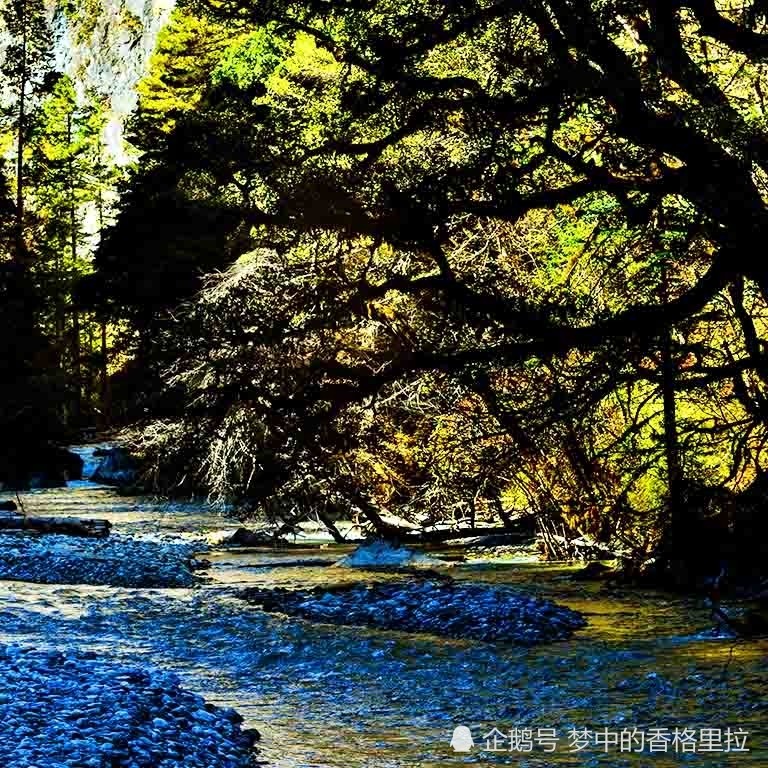 自驾西藏滇藏丙察察线秋那桶察瓦龙山谷幽深水美