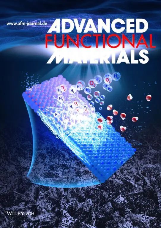 电解水|天津师大在非贵金属电解水催化剂领域取得重要进展