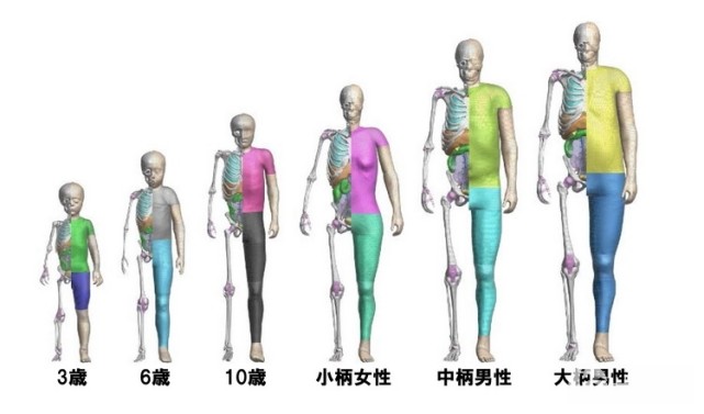 Toyota虚拟撞击测试人偶免费公开 希望吸引更多人投入汽车安全研究 丰田中央研究所 汽车安全 丰田 日本 汽车