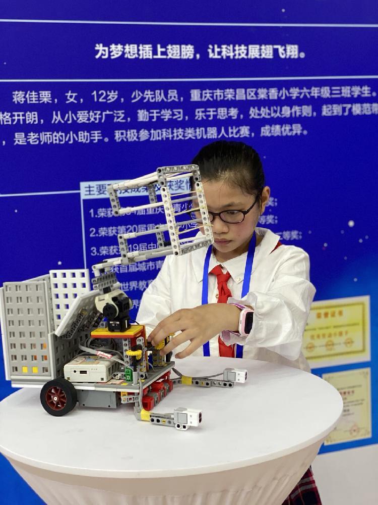 第十二届重庆市青少年科技创新市长奖:重庆市名校联合中学校 尹艺臻