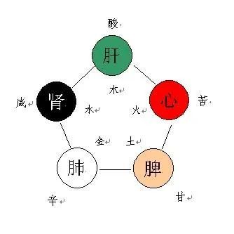 掌握脏,味之间的关系,对于我们根据气候变化运用食养方法,做出调整以