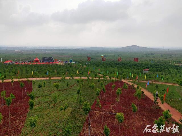 据了解,万花山森林公园景区位于元氏县苏阳乡境内,东至红旗大街,西至