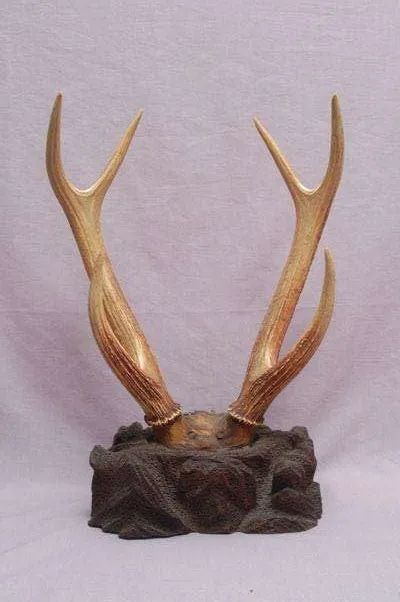 浙19个景区通过国家4a级旅游景区景观质量评价,列入创建预备名单!_腾