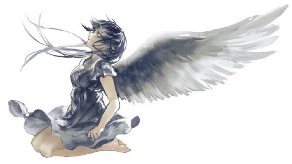 月鲜儿有话说之单翼飞翔