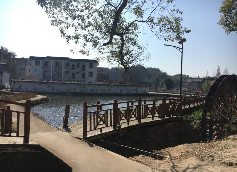 连城县塘前乡:整治农村人居环境打造"冠豸山的后花园"