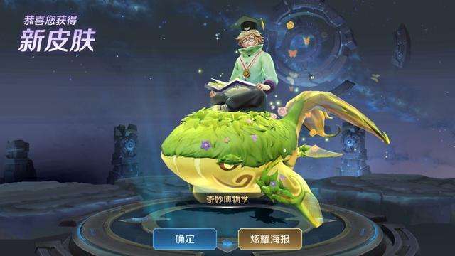 王者荣耀只有5位英雄有森系皮肤,最后一位竟然是男生