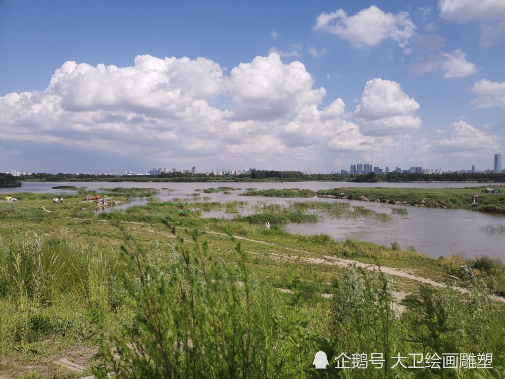 哈尔滨滨水大道上的湿地景色太美了,是休闲钓鱼的好地方