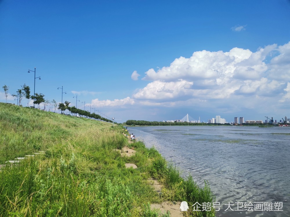 哈尔滨滨水大道上的湿地景色太美了,是休闲钓鱼的好地方