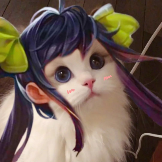 王者英雄头像合集猫猫头像电光马超圣诞貂蝉神威玄策可爱