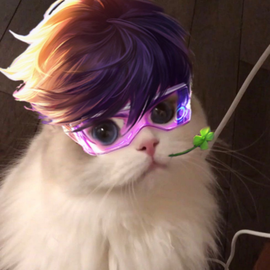 王者英雄头像合集猫猫头像电光马超圣诞貂蝉神威玄策可爱
