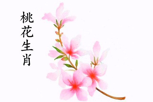 真有天生的桃花命详解金木水火四大桃花生肖有的既藏金又藏花