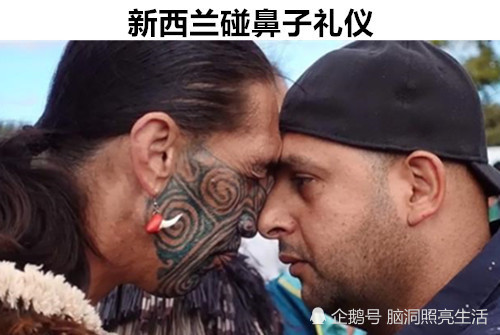 毛利人碰鼻子图片