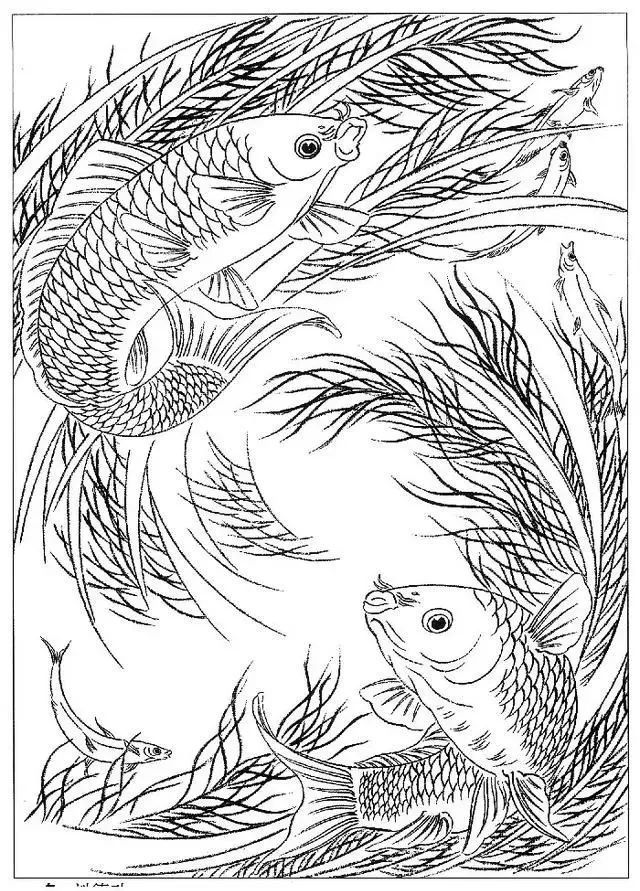 工筆畫素材《魚白描圖》