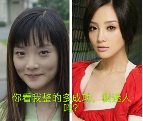 娱乐圈整容最成功案例都在这几位明星身上