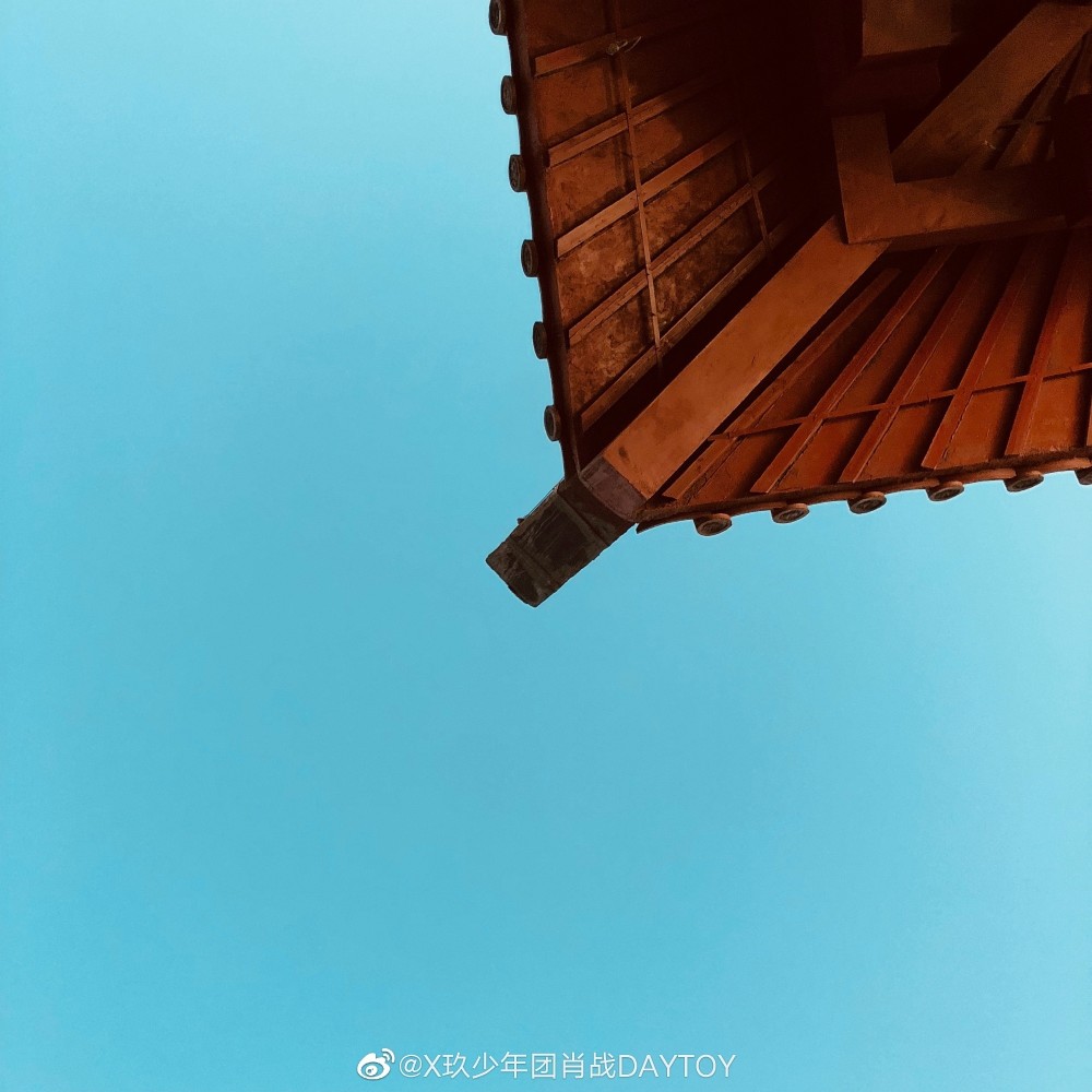 就像肖战说的,哪怕是房檐和屋顶把生活压得再低,但我觉得,它还会有另