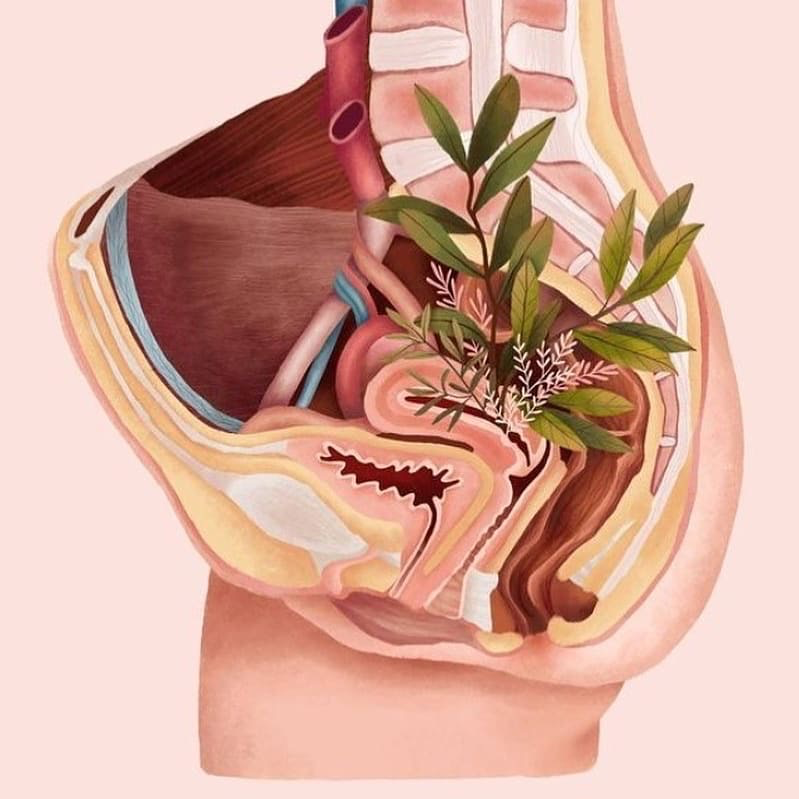 女性养护必练|2套完整序列,滋养骨盆,子宫,开髋太赞了!