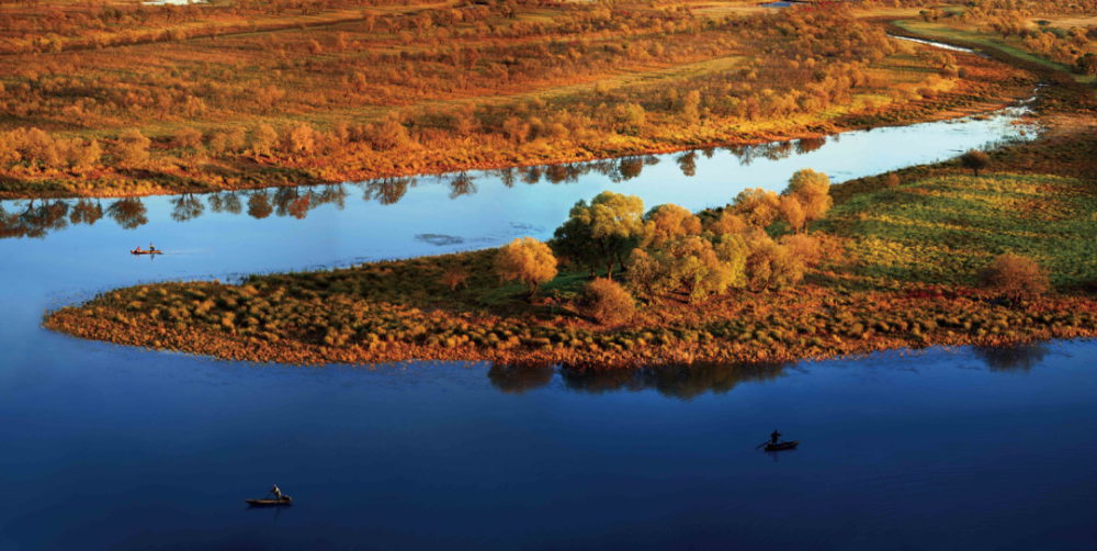 抚远湿地秋色