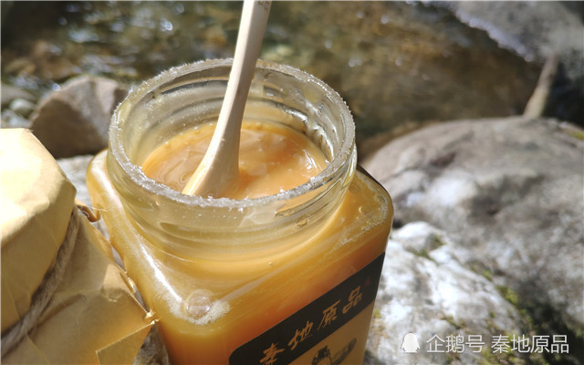土蜂蜜|说到成熟蜜，为什么大家首先想到土蜂蜜？这个“代言人”可还行？