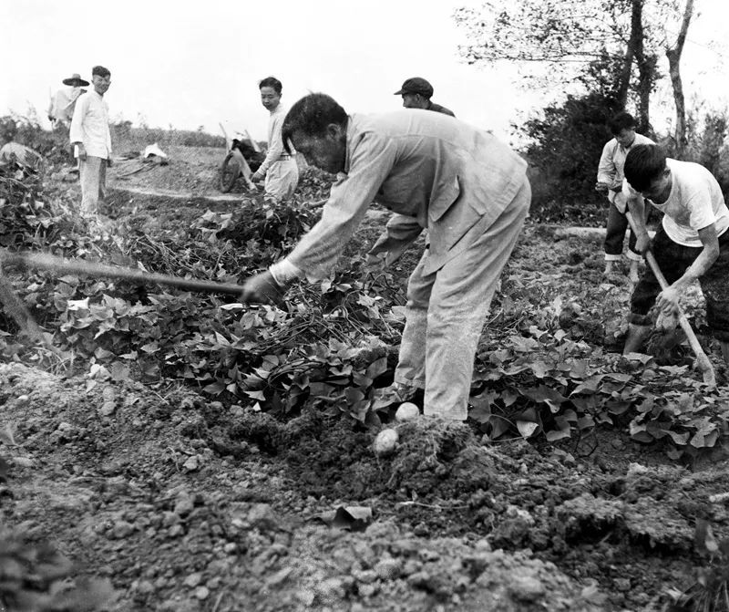 【图集】这些珍贵的老照片记录了1949年到1978年潜山发展的光辉历程