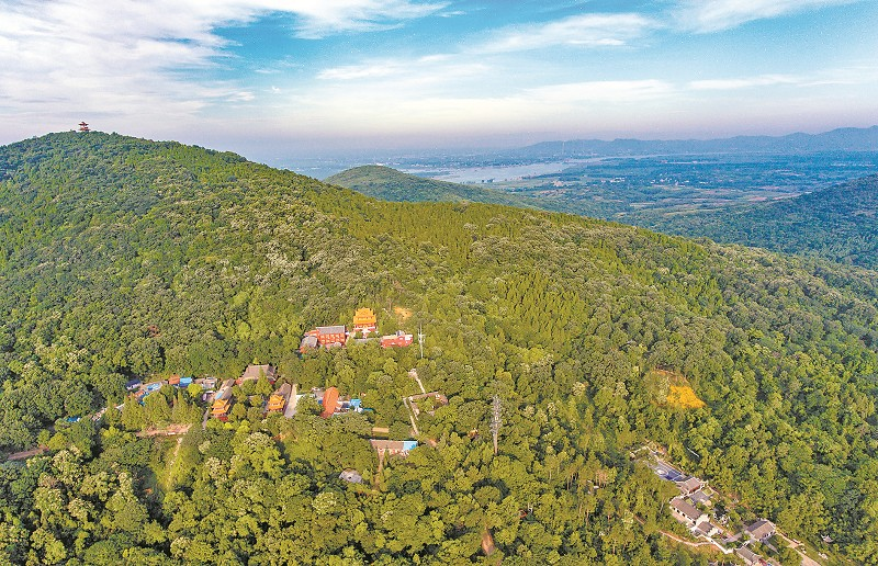 鹿门山森林,畅享夏天一抹清凉的风