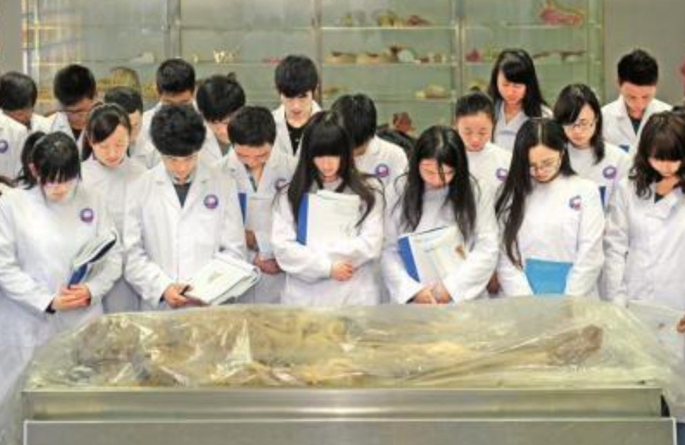 医学院上解剖课时尸体是从哪里来的说出来你或许不相信