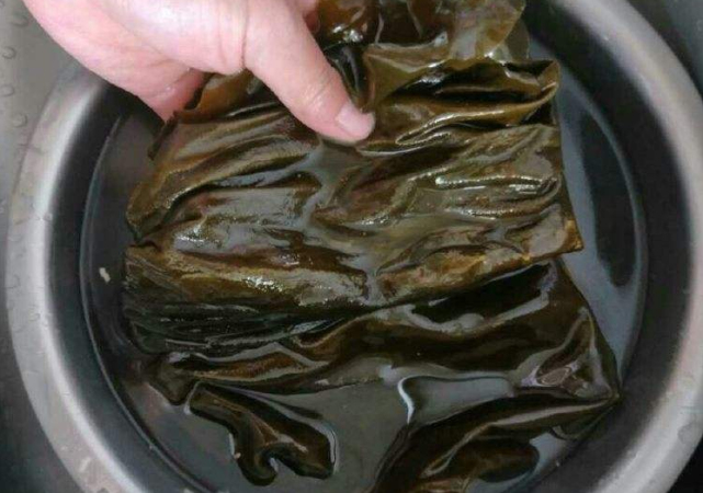 干海带不要直接用水泡很多人不懂难怪海带发硬难吃营养低