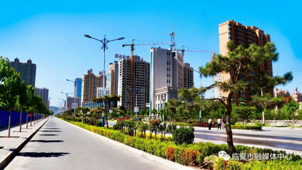 【临夏市】提升城市绿化养护 点亮城市斑斓底色_腾讯新闻