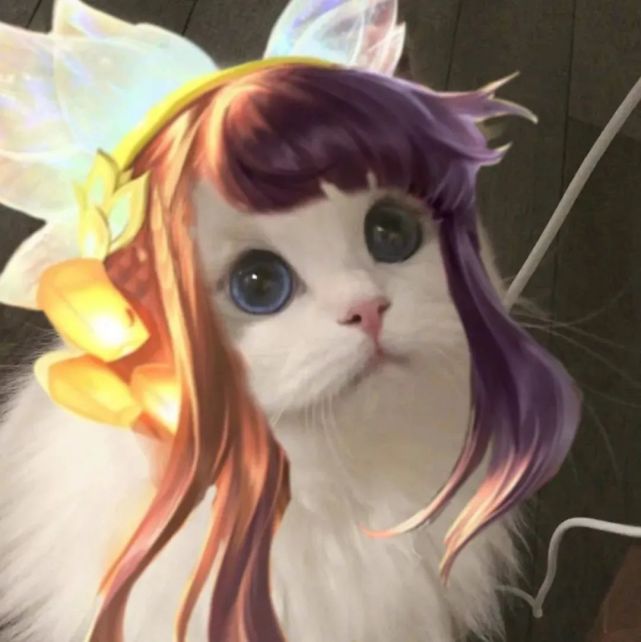 《王者荣耀猫头》第4期:女神团喵咪接头头像,这么可爱的猫从哪里来的