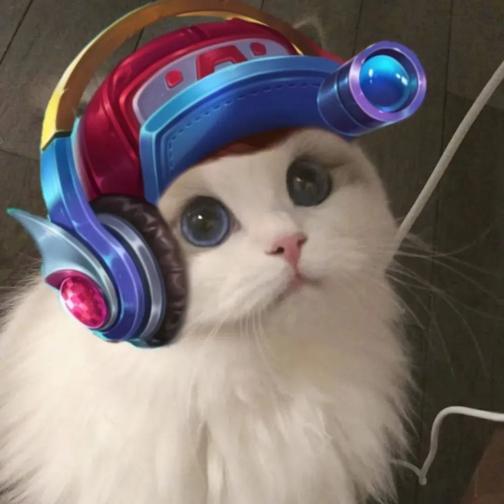 王者荣耀猫头第4期女神团喵咪接头头像这么可爱的猫从哪里来的