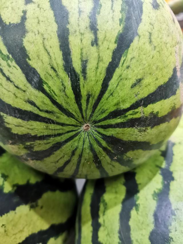 选西瓜如何避开公西瓜 30年果农告诉你 学会这招 个个甘甜多汁 腾讯新闻